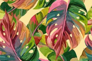 惊呆了！每日大赛吃瓜全过程公开