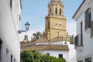 海角网页版·热搜榜·市场透视·策略深挖