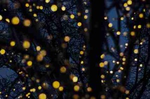 突发新闻：每日大赛引发网友热议