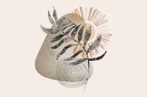 真实记录：每日大赛黑料让人目瞪口呆