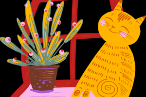 麻豆网玩法解析春节活动15条秘密彩蛋揭秘