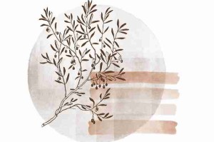 26条秘密麻豆app福利码合集阵容搭配