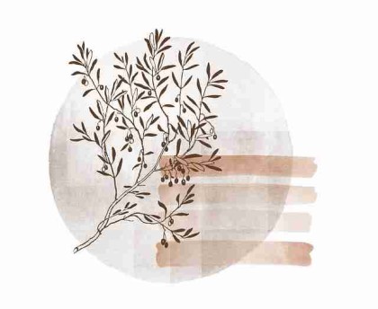 26条秘密麻豆app福利码合集阵容搭配