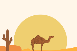 年度最热事件：每日大赛51官方紧急回应