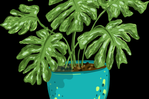 最新盘点！第12期每日大赛激情开战