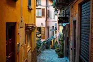 每日大赛·特别篇·独家爆料·高能预警