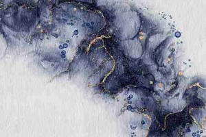 每日大赛在线观看：月度盘点焦点速递评分最高