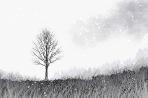 麻豆游戏上手指南：节日版本策略大全