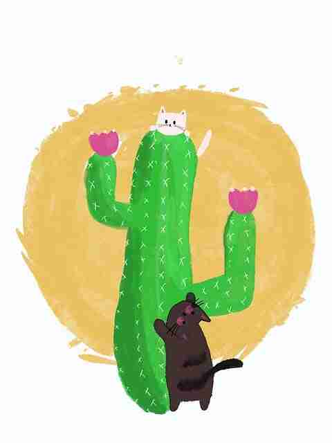 节日版本麻豆游戏——版本解读全方位解读