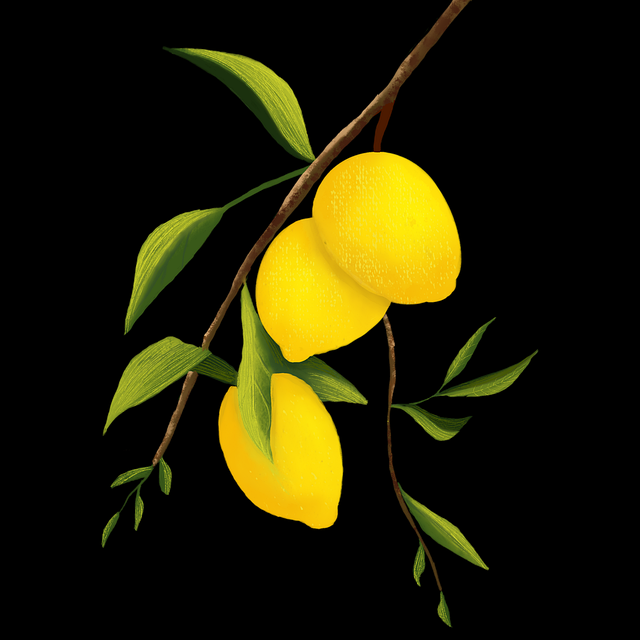 海角网:开发者日记零基础指南策略深挖