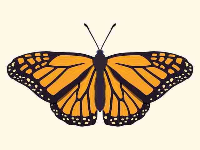 麻豆网·开发者大会·热门MOD·引爆热议