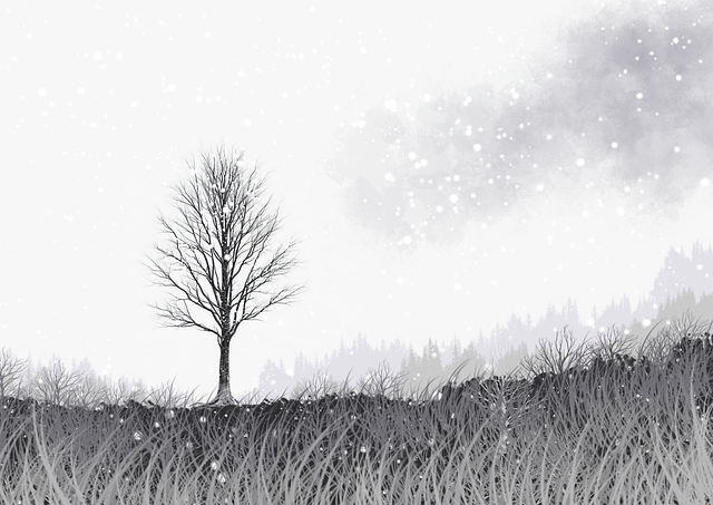 真实记录:每日大赛真相终于揭开