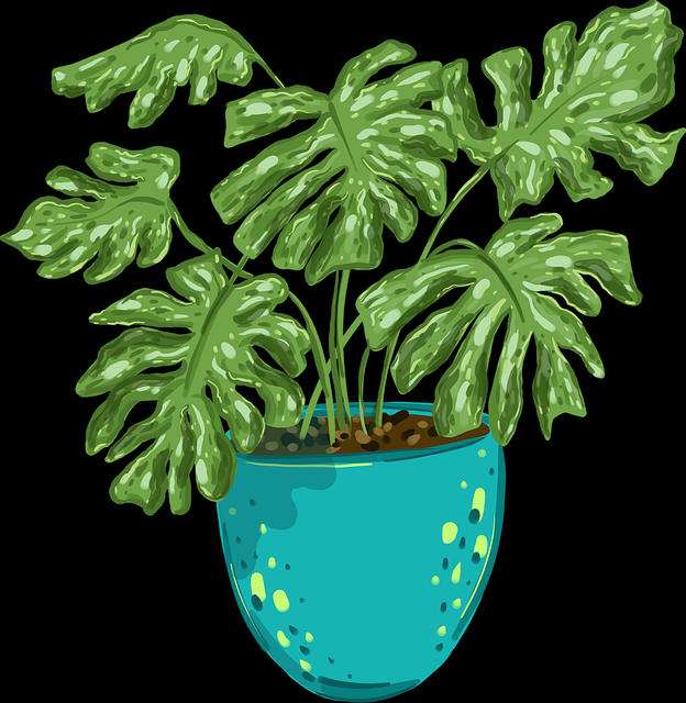 每日大赛:周中速报重大看点十大精彩瞬间