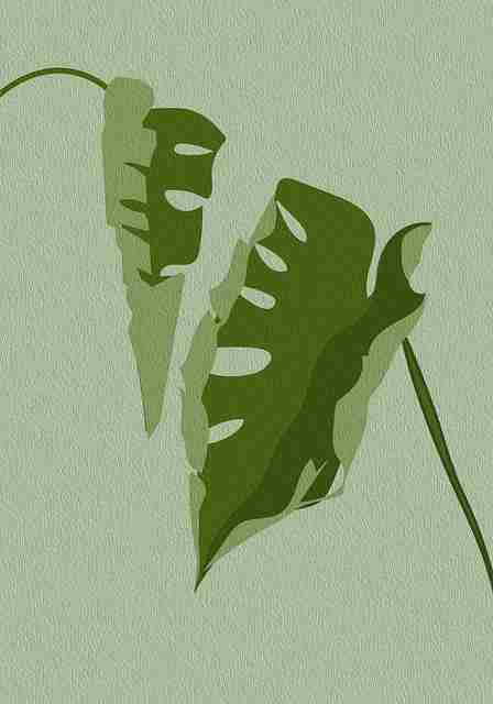 最新盘点麻豆app官网（V4.0）深夜加码